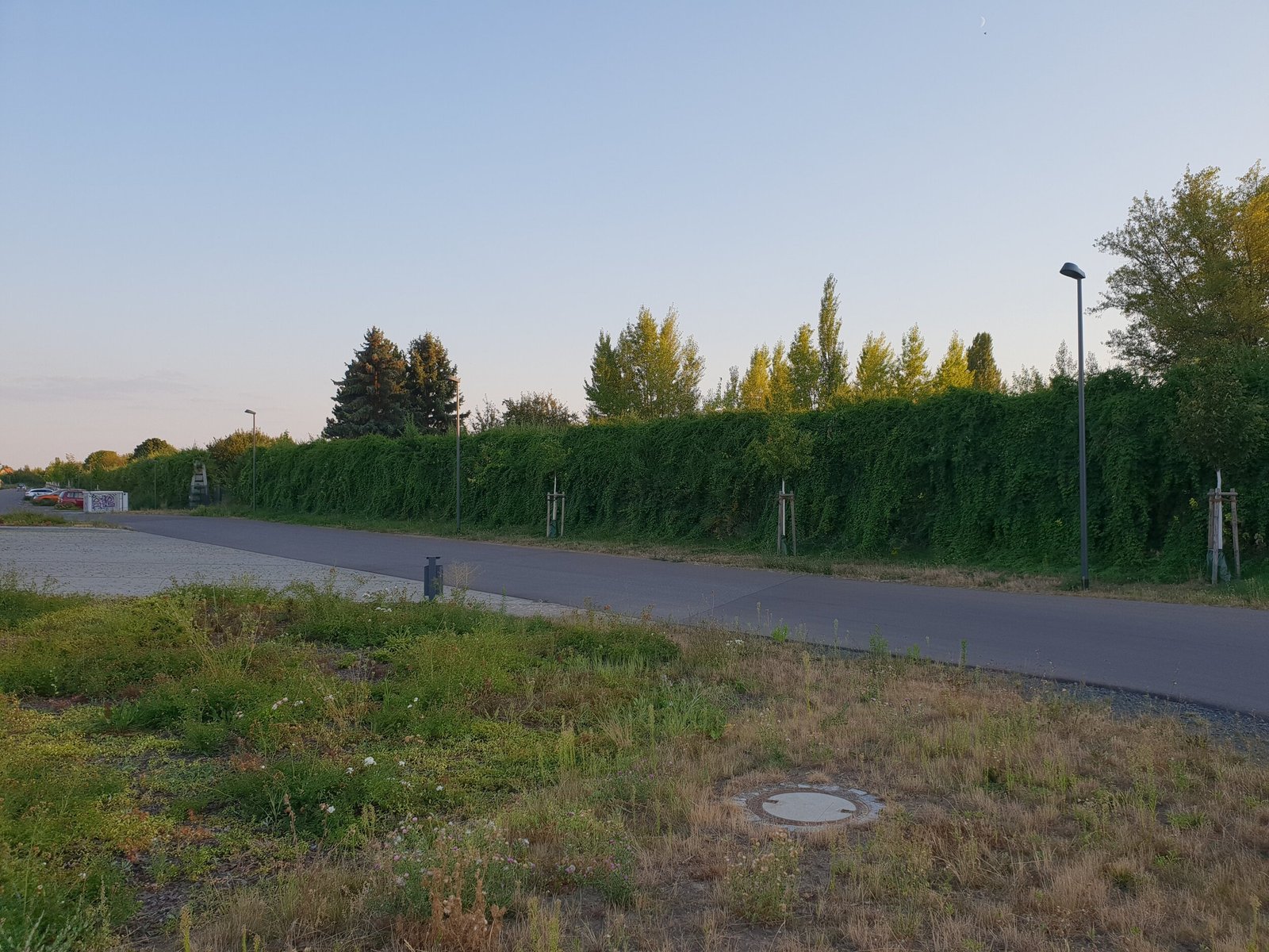 Bild+14